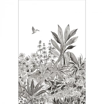 Tündöklő kolibri, gravírozott növények felett, fekete-fehér fotótapéta, vlies 200x310