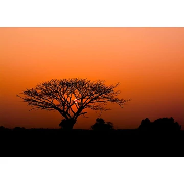 Afrikai naplemente, óriásposzter 300x424 cm